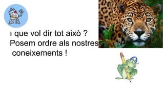 I què vol dir tot això ?
Posem ordre als nostres
coneixements !
 