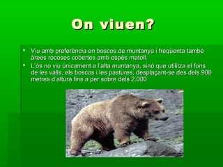 On viuen?
 Viu amb preferència en boscos de muntanya i freqüenta també
  àrees rocoses cobertes amb espès matoll.
 L’ós no viu únicament a l’alta muntanya, sinó que utilitza el fons
  de les valls, els boscos i les pastures, desplaçant-se des dels 900
  metres d’altura fins a per sobre dels 2.000
 