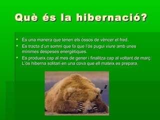 Què és la hibernació?

 És una manera que tenen els óssos de vèncer el fred.
 Es tracta d’un somni que fa que l’ós pugui viure amb unes
  mínimes despeses energètiques.
 Es produeix cap al mes de gener i finalitza cap al voltant de març.
  L’ós hiberna solitari en una cova que ell mateix es prepara.
 