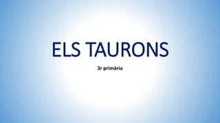 ELS TAURONS
3r primària
 