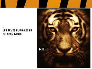 .
LES SEVES PUPIL·LES ES
DILATEN MOLT.
NIT
 