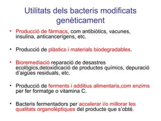 Utilitats dels bacteris modificats
genèticament
• Producció de fàrmacs, com antibiòtics, vacunes,
insulina, anticancerígens, etc.
• Producció de plàstics i materials biodegradables.
• Bioremediació reparació de desastres
ecològics,detoxidicació de productes químics, depuració
d’aigües residuals, etc.
• Producció de ferments i additius alimentaris,com enzims
per fer formatge o vitamina C.
• Bacteris fermentadors per accelerar i/o millorar les
qualitats organolèptiques del producte que s’obté.
 