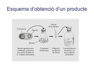 Esquema d’obtenció d’un producte
 