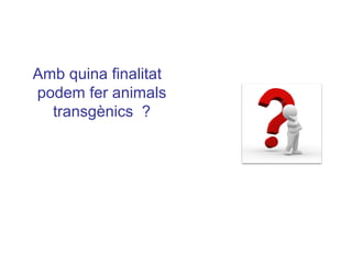 Amb quina finalitat
podem fer animals
transgènics ?
 