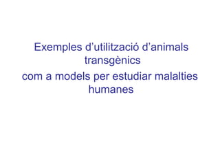 Exemples d’utilització d’animals
transgènics
com a models per estudiar malalties
humanes
 