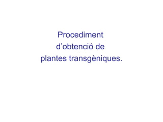 Procediment
d’obtenció de
plantes transgèniques.
 