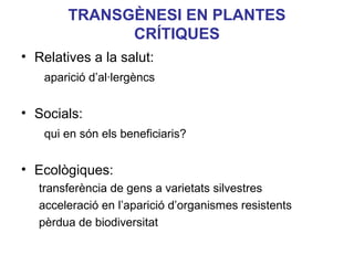 TRANSGÈNESI EN PLANTES
CRÍTIQUES
• Relatives a la salut:
aparició d’al·lergèncs
• Socials:
qui en són els beneficiaris?
• Ecològiques:
transferència de gens a varietats silvestres
acceleració en l’aparició d’organismes resistents
pèrdua de biodiversitat
 