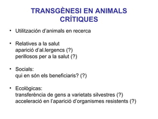 TRANSGÈNESI EN ANIMALS
CRÍTIQUES
• Utilitzación d’animals en recerca
• Relatives a la salut
aparició d’al.lergencs (?)
perillosos per a la salut (?)
• Socials:
qui en són els beneficiaris? (?)
• Ecològicas:
transferència de gens a varietats silvestres (?)
acceleració en l’aparició d’organismes resistents (?)
 