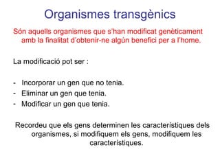 Organismes transgènics
Són aquells organismes que s’han modificat genèticament
amb la finalitat d’obtenir-ne algún benefici per a l’home.
La modificació pot ser :
- Incorporar un gen que no tenia.
- Eliminar un gen que tenia.
- Modificar un gen que tenia.
Recordeu que els gens determinen les característiques dels
organismes, si modifiquem els gens, modifiquem les
característiques.
 