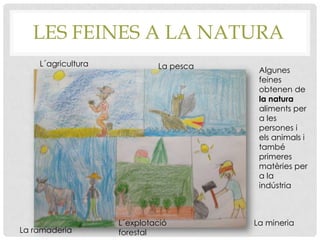 LES FEINES A LA NATURA
L´agricultura La pesca
La ramaderia
L´explotació
forestal
La mineria
Algunes
feines
obtenen de
la natura
aliments per
a les
persones i
els animals i
també
primeres
matèries per
a la
indústria
 