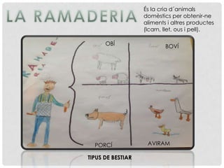 És la cria d´animals
domèstics per obtenir-ne
aliments i altres productes
(lcarn, llet, ous i pell).
OBÍ BOVÍ
PORCÍ AVIRAM
TIPUS DE BESTIAR
 