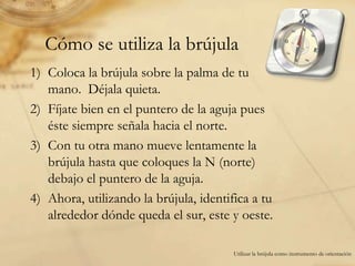 Estándares y Expectativas: