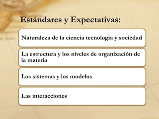11:30 am -  12:30 pm    Almuerzo 