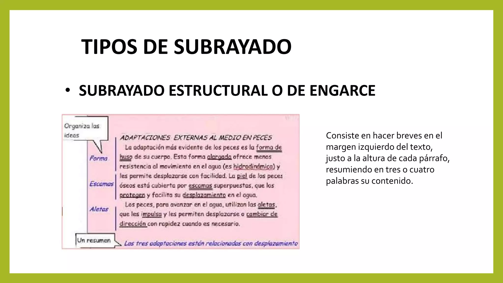 Subrayado Rosa El subrayado | PPT