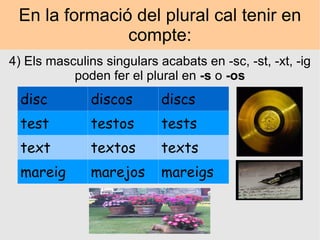 En la formació del plural cal tenir en compte: 4) Els masculins singulars acabats en -sc, -st, -xt, -ig poden fer el plural en  -s  o  -os disc discos discs test testos tests text textos texts mareig marejos mareigs 