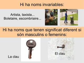 Hi ha noms invariables: Artista, taxista... Boletaire, escombriaire... Hi ha noms que tenen significat diferent si són masculins o femenins: La clau El clau 