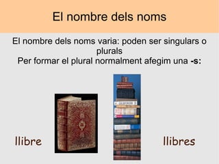 El nombre dels noms El nombre dels noms varia: poden ser singulars o plurals Per formar el plural normalment afegim una  -s: llibre llibres 