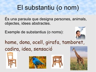El substantiu (o nom) És una paraula que designa persones, animals, objectes, idees abstractes. Exemple de substantius (o noms): home, dona, ocell, girafa, tamboret, cadira, idea, sensació 