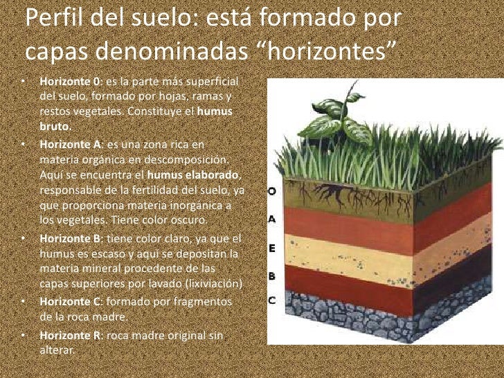 El Suelo