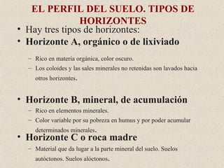 EL PERFIL DEL SUELO. TIPOS DE HORIZONTES Hay tres tipos de horizontes: Horizonte A, orgánico o de lixiviado Rico en materia orgánica, color oscuro. Los coloides y las sales minerales no retenidas son lavados hacia otros horizontes . Horizonte B, mineral, de acumulación Rico en elementos minerales. Color variable por su pobreza en humus y por poder acumular determinados minerales . Horizonte C o roca madre Material que da lugar a la parte mineral del suelo. Suelos autóctonos. Suelos alóctonos . 