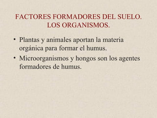 FACTORES FORMADORES DEL SUELO. LOS ORGANISMOS. Plantas y animales aportan la materia orgánica para formar el humus. Microorganismos y hongos son los agentes formadores de humus. 