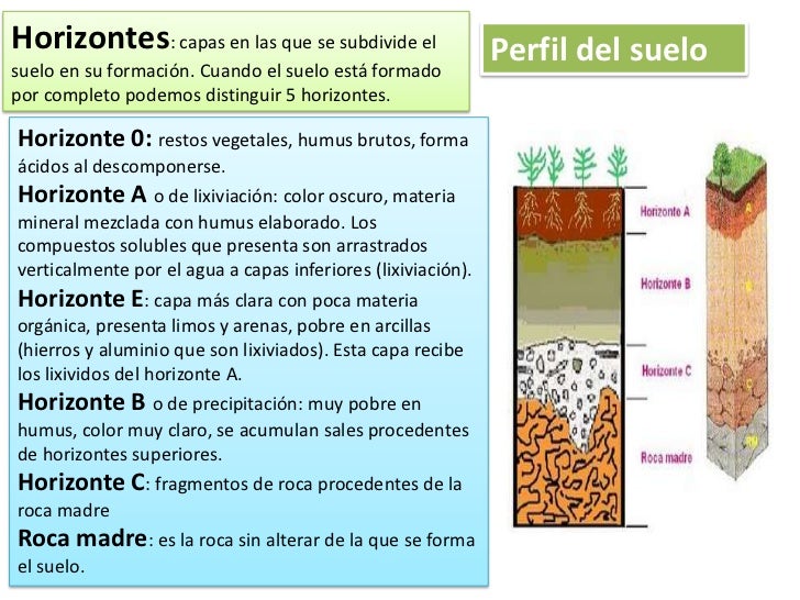 El suelo El suelo