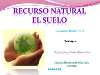Secuencia Didáctica 3


              Ecología



    Profesor: Jorge Esteban Dávila Aviña


    Jessica Esmeralda Alvarado
              Becerra
Pagina 88
 