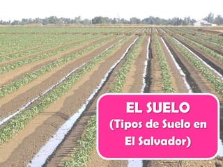 EL SUELO
(Tipos de Suelo en
   El Salvador)
 