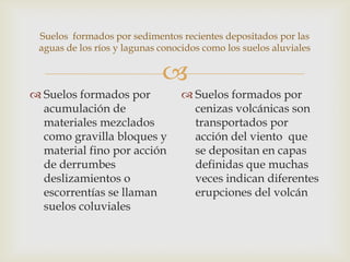 Suelos formados por sedimentos recientes depositados por las
aguas de los ríos y lagunas conocidos como los suelos aluviales


 Suelos formados por
acumulación de
materiales mezclados
como gravilla bloques y
material fino por acción
de derrumbes
deslizamientos o
escorrentías se llaman
suelos coluviales

 Suelos formados por
cenizas volcánicas son
transportados por
acción del viento que
se depositan en capas
definidas que muchas
veces indican diferentes
erupciones del volcán

 