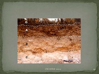 10CTM BOÑAR 2013-14
 