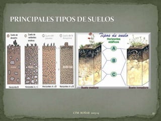 11CTM BOÑAR 2013-14
 