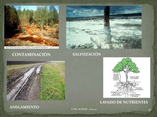 17CTM BOÑAR 2013-14
CONTAMINACIÓN SALINIZACIÓN
ANEGAMIENTO
LAVADO DE NUTRIENTES
 