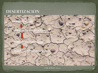 21CTM BOÑAR 2013-14
DESERTIZACIÓN
PÉRDIDA DE PRODUCTIVIDAD
PÉRDIDAS ECONÓMICAS
PÉRDIDA DE VIDAS HUMANAS
 