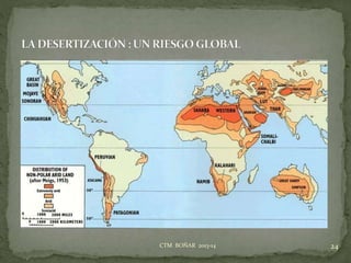 24CTM BOÑAR 2013-14
 