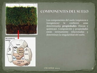 6CTM BOÑAR 2013-14
Los componentes del suelo (orgánicos e
inorgánicos) le confieren unas
determinadas propiedades (físicas y
químicas). Composición y propiedades
están íntimamente relacionadas y
determinan la singularidad del suelo.
 
