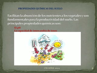 8CTM BOÑAR 2013-14
El pH
La capacidad de intercambio de iones
PROPIEDADES QUÍMICAS DEL SUELO
 