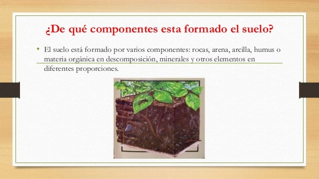 El suelo