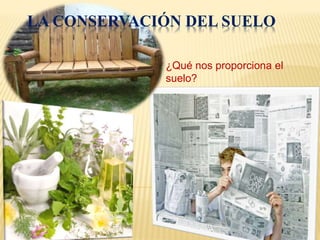 LA CONSERVACIÓN DEL SUELO 
¿Qué nos proporciona el 
suelo? 
 