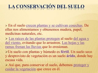 LA CONSERVACIÓN DEL SUELO 
 En el suelo crecen plantas y se cultivan cosechas. De 
ellas nos alimentamos y obtenemos madera, papel, 
medicinas naturales, etc. 
 Las raíces de las plantas protegen al suelo del agua y 
del viento, evitando que lo arrastren. Las hojas y las 
ramas frenan las lluvias que lo erosionan. 
Un suelo con plantas y húmedo es fértil. Un suelo seco 
y desprovisto de vegetación es un suelo árido, donde hay 
escasa vida. 
 Así que, para conservar el suelo, debemos proteger y 
cuidar la vegetación que crece en él. 
 