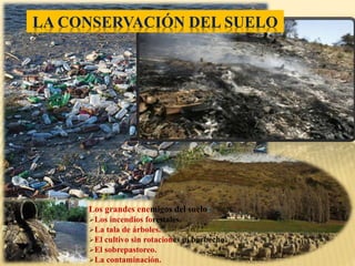 LA CONSERVACIÓN DEL SUELO 
Los grandes enemigos del suelo: 
Los incendios forestales. 
La tala de árboles. 
El cultivo sin rotaciones ni barbecho. 
El sobrepastoreo. 
La contaminación. 
 