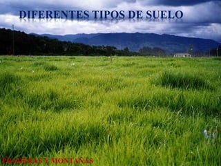 DIFERENTES TIPOS DE SUELO 
PRADERAS Y MONTAÑAS 
 