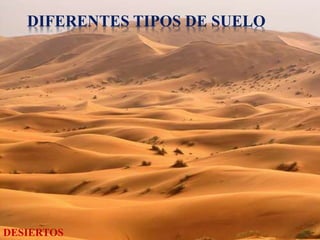 DIFERENTES TIPOS DE SUELO 
DESIERTOS 
 