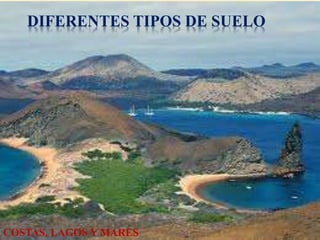 DIFERENTES TIPOS DE SUELO 
COSTAS, LAGOS Y MARES 
 