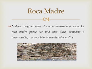 
 Material original sobre el que se desarrolla el suelo. La
roca madre puede ser una roca dura, compacta e
impermeable, una roca blanda o materiales sueltos
Roca Madre
 