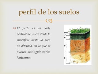 
 El perfil es un corte
vertical del suelo desde la
superficie hasta la roca
no alterada, en la que se
pueden distinguir varios
horizontes.
perfil de los suelos
 