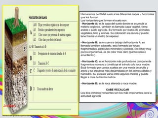 Llamaremos perfil del suelo a las diferentes capas u horizontes
que los forman.
Los horizontes que forman el suelo son:
- Horizonte A: es la capa del suelo donde se acumula la
materia orgánica, también es llamada capa vegetal, tierra
arable o suelo agrícola. Es formado por restos de animales,
vegetales, limo y arenas. Su coloración es oscura y puede
tener hasta un metro de espesor.
- Horizonte B: se encuentra debajo del horizonte A. es
llamado también subsuelo, está formado por rocas
fragmentadas, partículas minerales y piedras. En él hay muy
pocos organismos, es de color más claro (pardo rojizo o
amarillento )
- Horizonte C: es el horizonte más profundo se compone de
fragmentos rocosos y constituye el tránsito a la roca madre.
Está formado por cantos sueltos en una matriz de arcilla y
arena y se presenta más desarrollado en los climas cálidos y
húmedos. Su espesor varía entre algunos metros y puede
llegar a más de treinta metros.
- Horizonte D: es la roca alterada o roca madre.
CABE RECALCAR
Los dos primeros horizontes son los más importantes para la
actividad agrícola
Jordan
 
