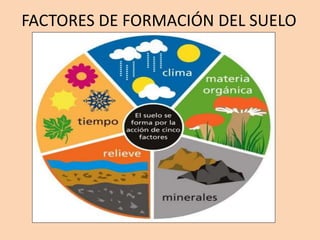 FACTORES DE FORMACIÓN DEL SUELO
 