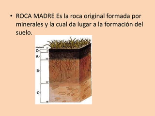 • ROCA MADRE Es la roca original formada por
minerales y la cual da lugar a la formación del
suelo.
 