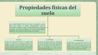 Propiedades físicas del
suelo
EL COLOR.
El color del suelo depende de su composición,
niveles de minerales y materia orgánica. Por
ejemplo: un suelo oscuro generalmente tiene más
materia orgánica; los más rojizos tienen mejor
circulación de aire y agua, mientras que los pálidos
pueden significar que tiene poca materia orgánica y
han durado mucho tiempo encharcados.
LA TEXTURA.
La textura está relacionada con la cantidad de
partículas de distintos tamaños, como puede
ser arena (2.0-0.05 mm), limo (0.05-0.02
mm) y arcilla (menos de 0.002 mm), en el
suelo; la proporción de estas tres es
fundamental para saber si el suelo es viable
para la siembra de hortalizas
LA ESTRUCTURA.
La estructura es la manera en la que se
agrupan las partículas del suelo y los
espacios. Una buena estructura de suelo se
distingue por su mezcla de macroporos, por
donde circula el agua y el drenaje; y los
microporos, que almacenan el líquido.
Las propiedades físicas del suelo se pueden sentir,
oler y/o medir y están relacionadas con la
estructura, textura, color y capacidad para sostener
el agua; en otras palabras, de estas propiedades
depende si el suelo es apto para la siembra.
 