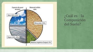 ¿Cuál es la
Composición
del Suelo?
 